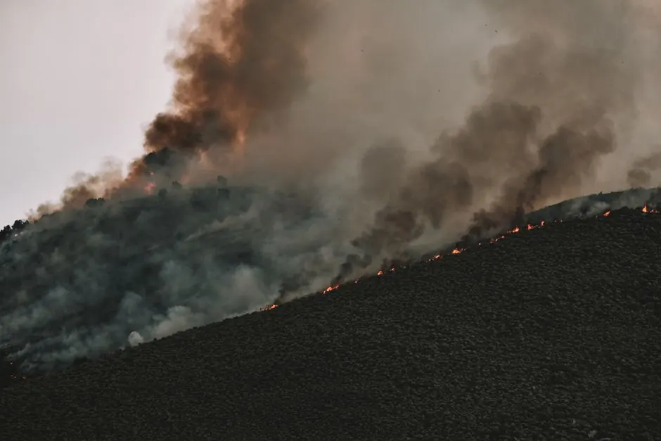 Intense forest fire spreading across a mountainside with thick smoke billowing into the sky.