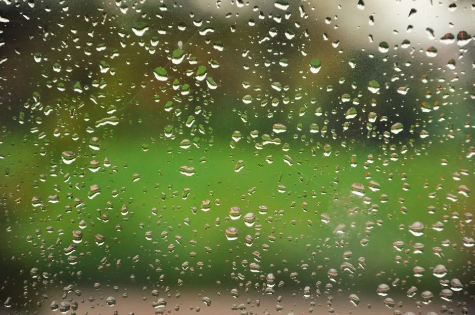 Raindrops on glass during a rainy day, creating a serene and natural pattern.
